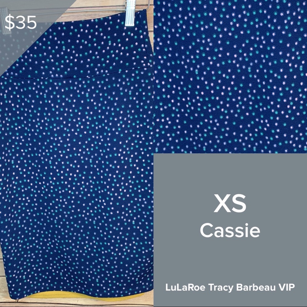 NWT LuLaRoe XS Cassie Skirt